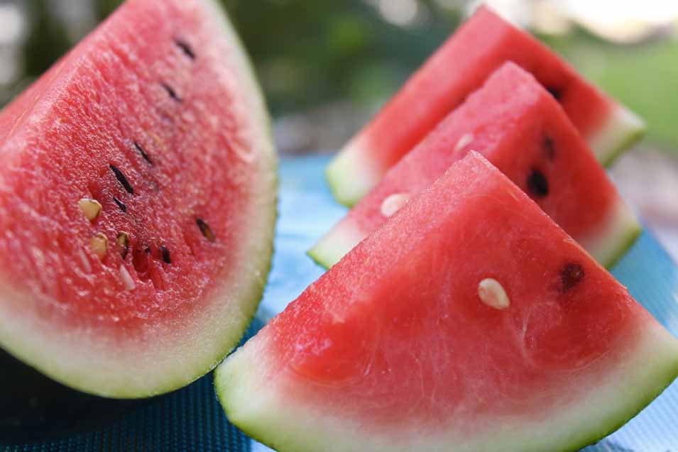 watermelon