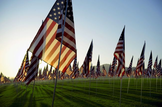 An image of American flags.