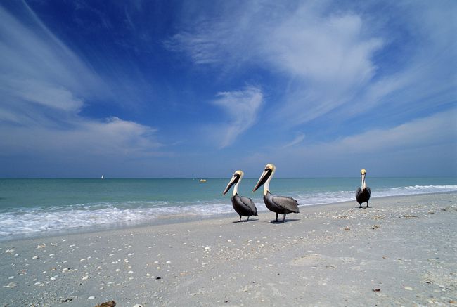 Sanibel Island