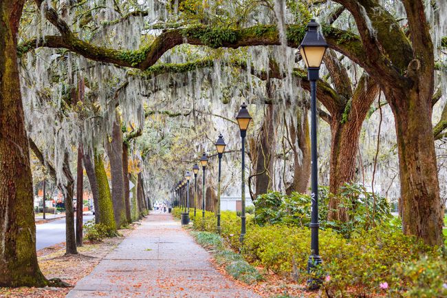 Savannah, Georgia