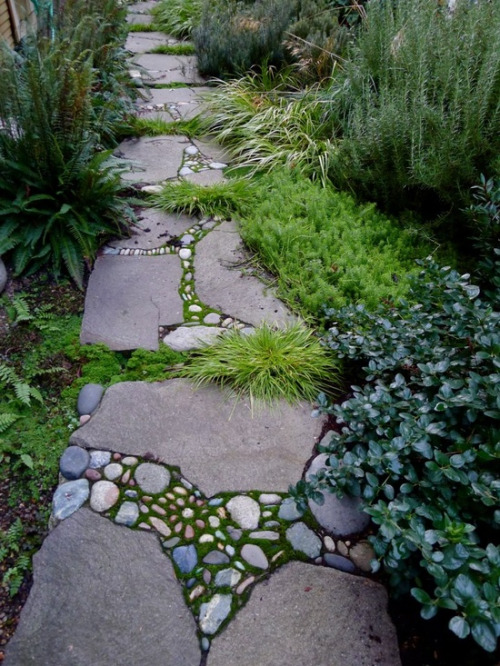 Stones and Grass Path