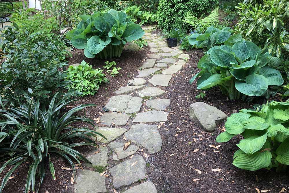 Irregular Stone Path