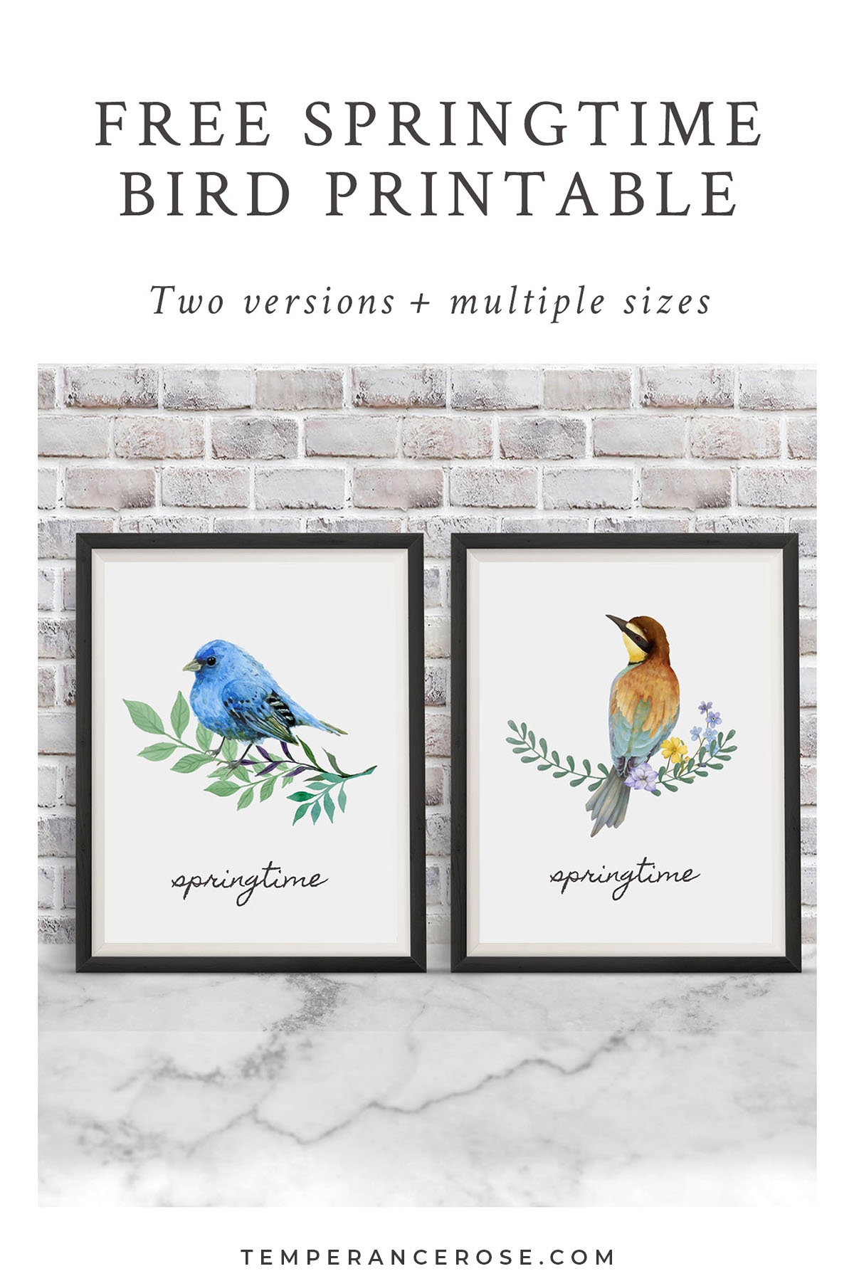 Springtime Bird Printables