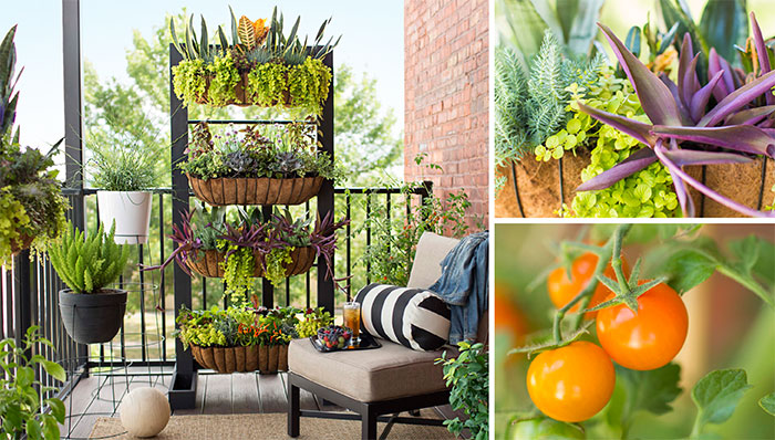 Small-Space Balcony Garden