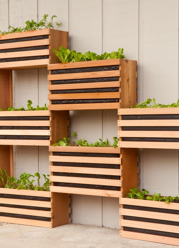 Space-Saving Vertical Vegetable Garden