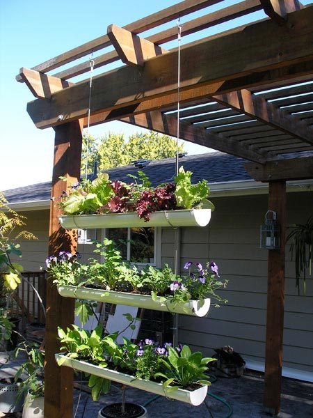 Hanging Gutter Garden