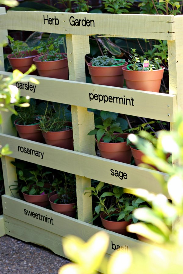 Wooden Pallet Vertical Garden