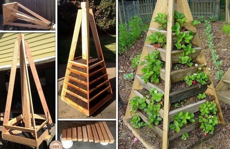 Vertical Pyramid Garden Planter