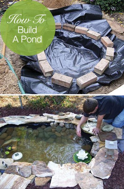 How to Build an Easy and Cheap Pond