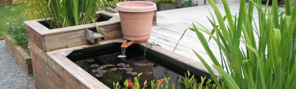 Above Ground Koi Pond