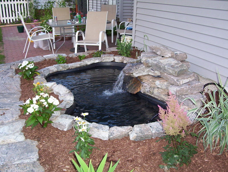 DIY Water Garden and Koi Pond