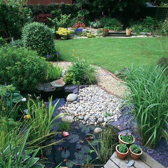 Wildlife Pond Decorated with Vivid Plants