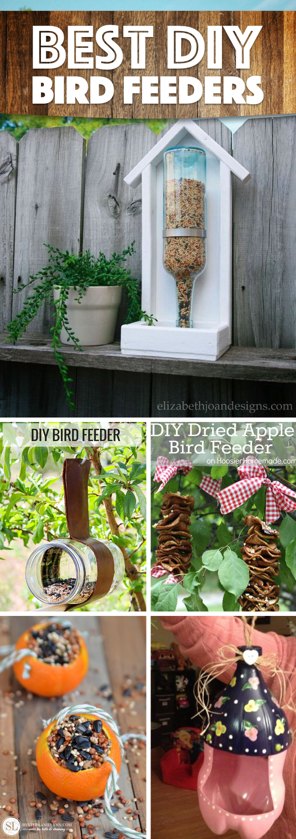 DIY Bird Feeders