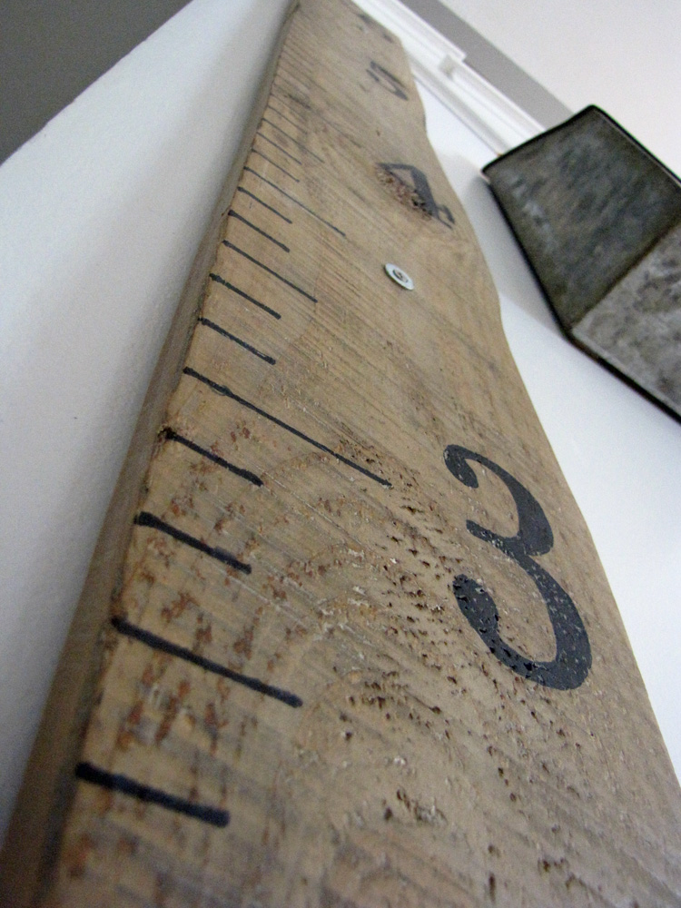 Your Own Rustic Wall Ruler