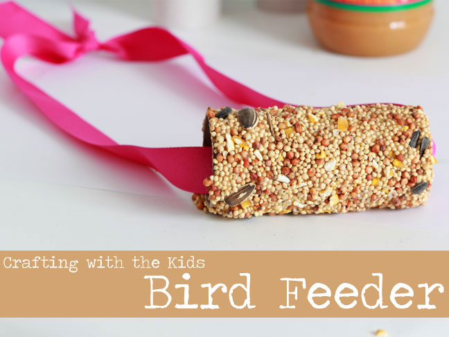 Cardboard Tube Bird Feeder