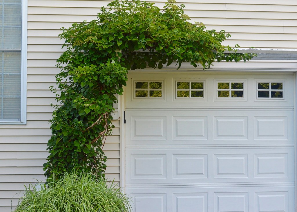 Pergola Touching Wine