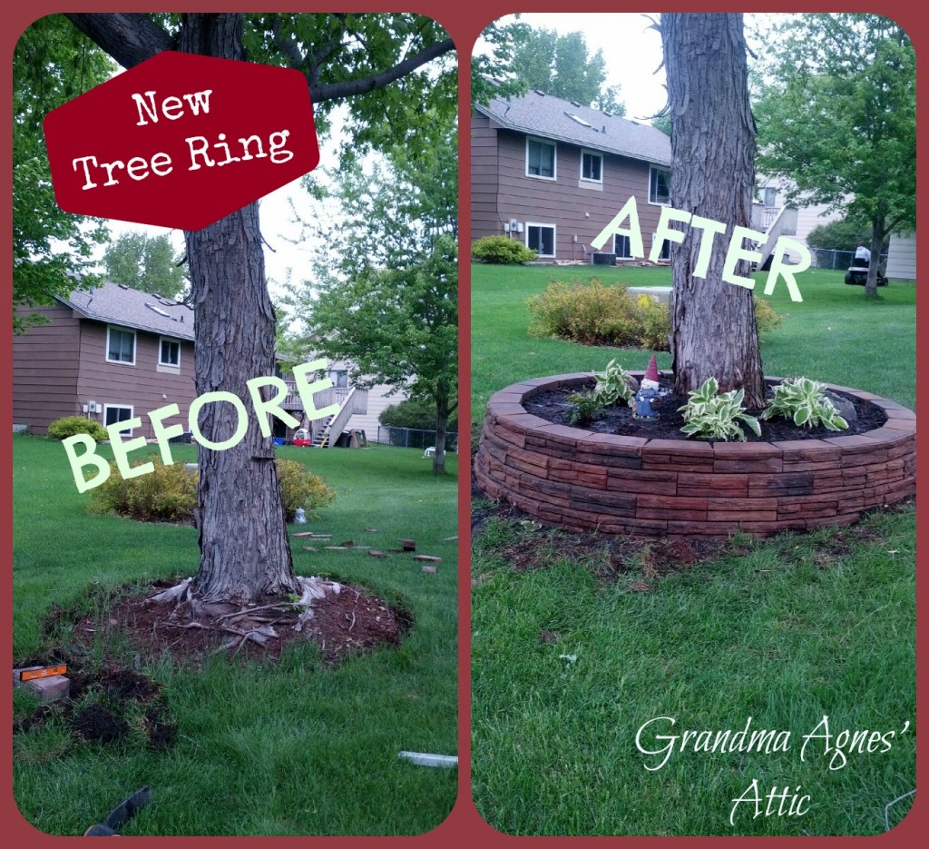 Front Maple Tree Landscaping Make-over