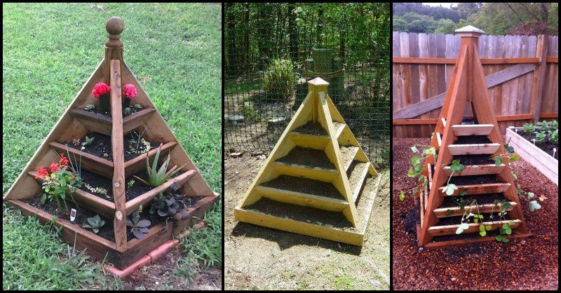 A Strawberry Pyramid Planter