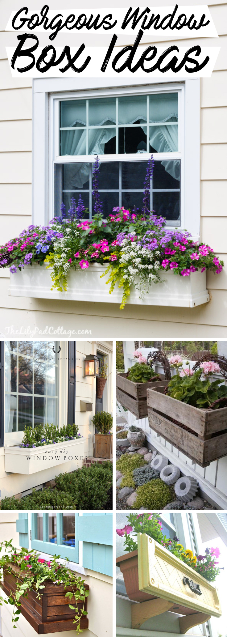 Window Box Ideas