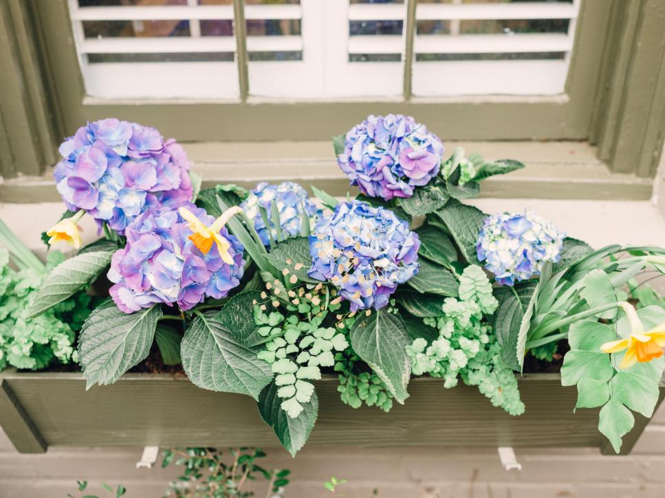 Window Box Planters