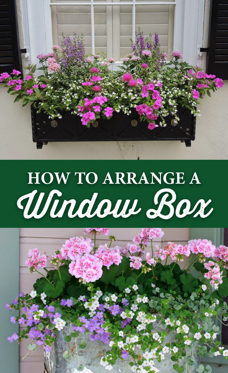 How to Arrange a Window Box