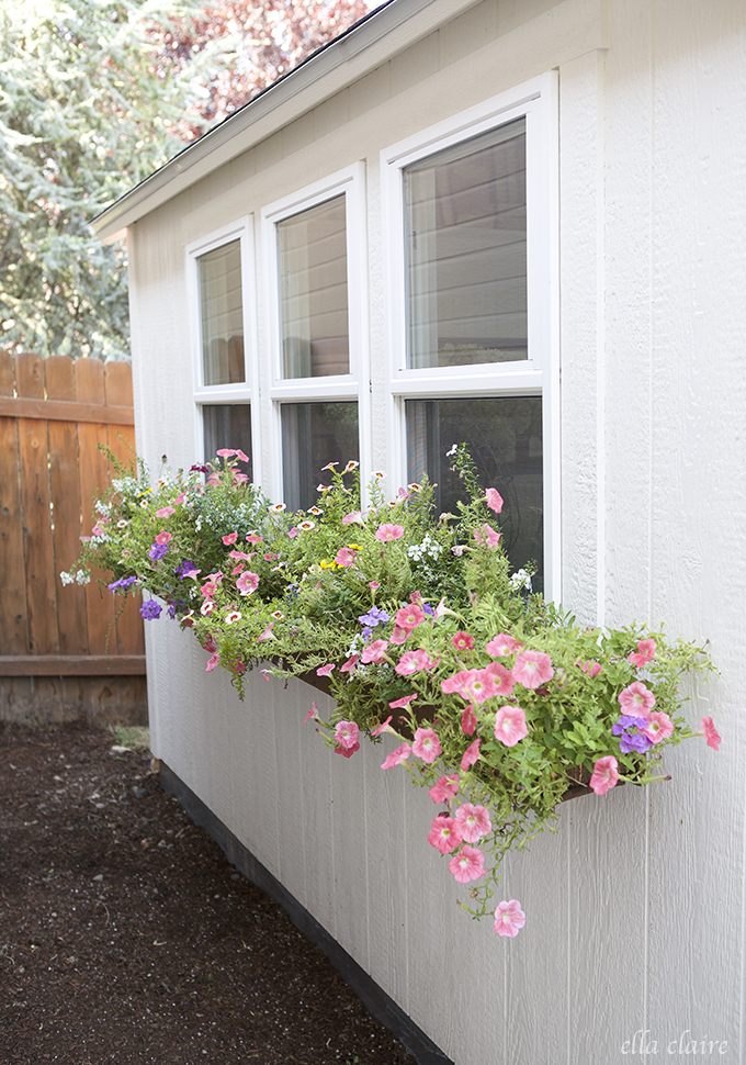 DIY Window Boxes