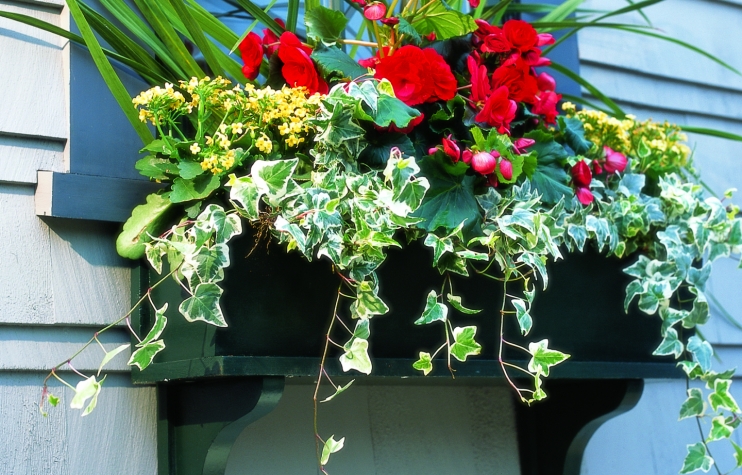 How to Hang a Window Box