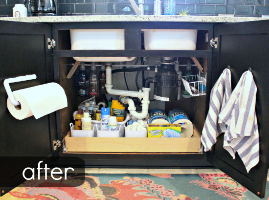 Organize Under The Sink