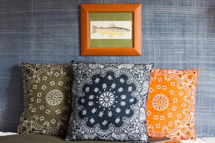 Most Amazing Bandana Pillows