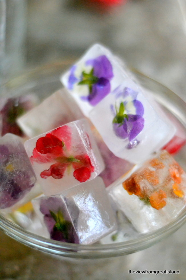 Edible Flower Ice Cubes