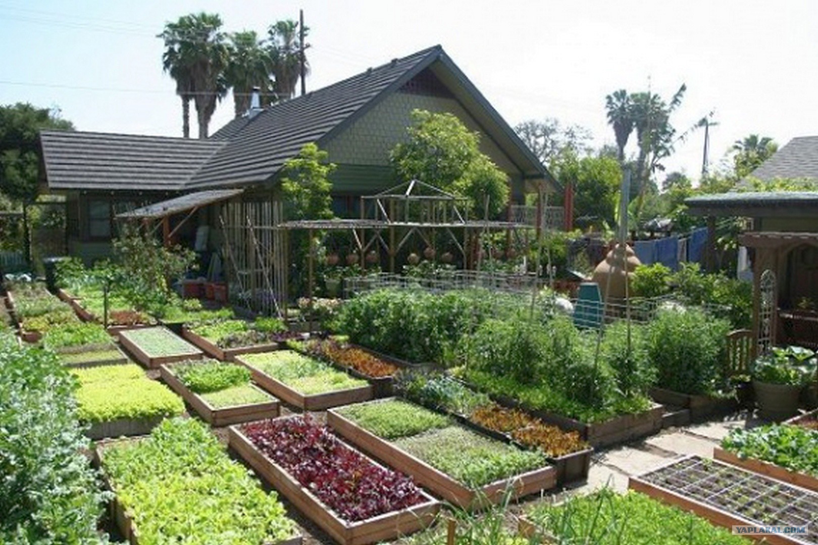 How To Produce Over 6000 Lbs of Food on a 1/10th Acre Farm