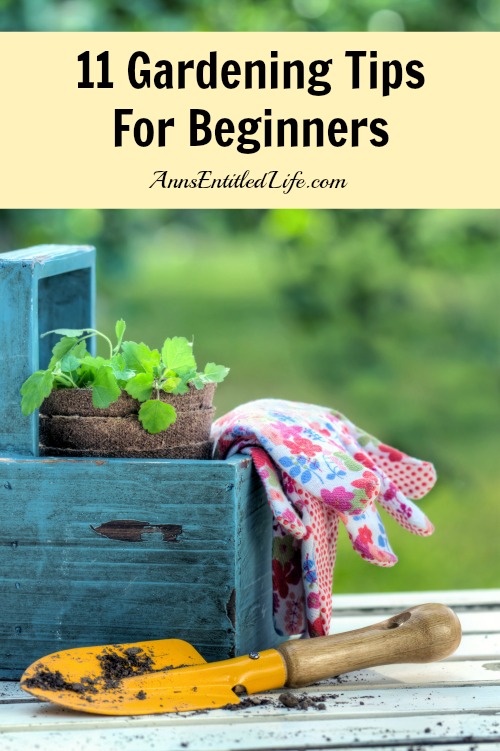 Very Practical Gardening Tips For Beginners