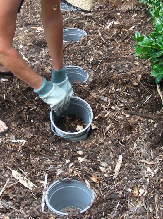 The Pot In A Pot Trick