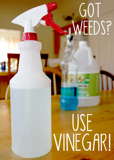  Make Your Own Weed Killer With Vinegar