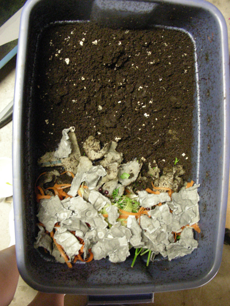 Make Your Own Compost