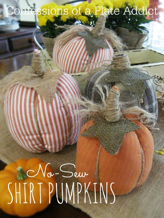 Easy No Sew Shirt Pumpkins