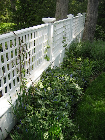 White lattice fence between two trees