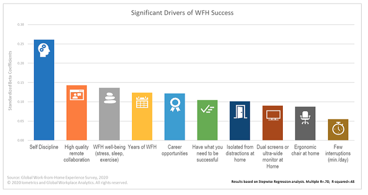 Graphic: Drivers of work from home success.