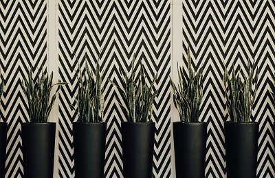 Chevron wall pattern with plants