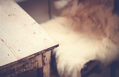 Faux fur chair and table