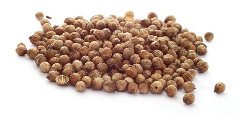 Coriander seeds