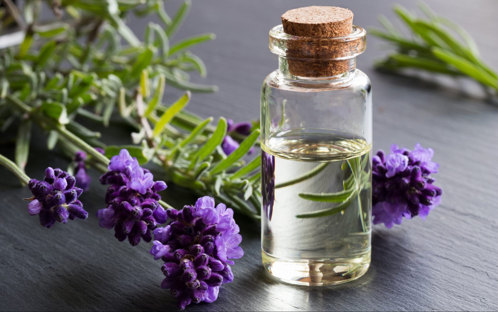 lavender oil