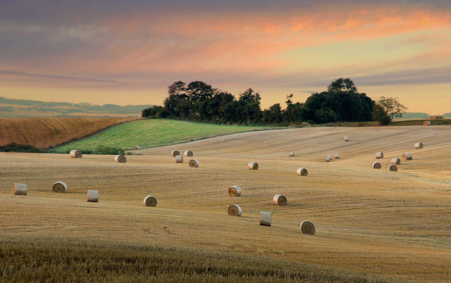 Tuscan plains