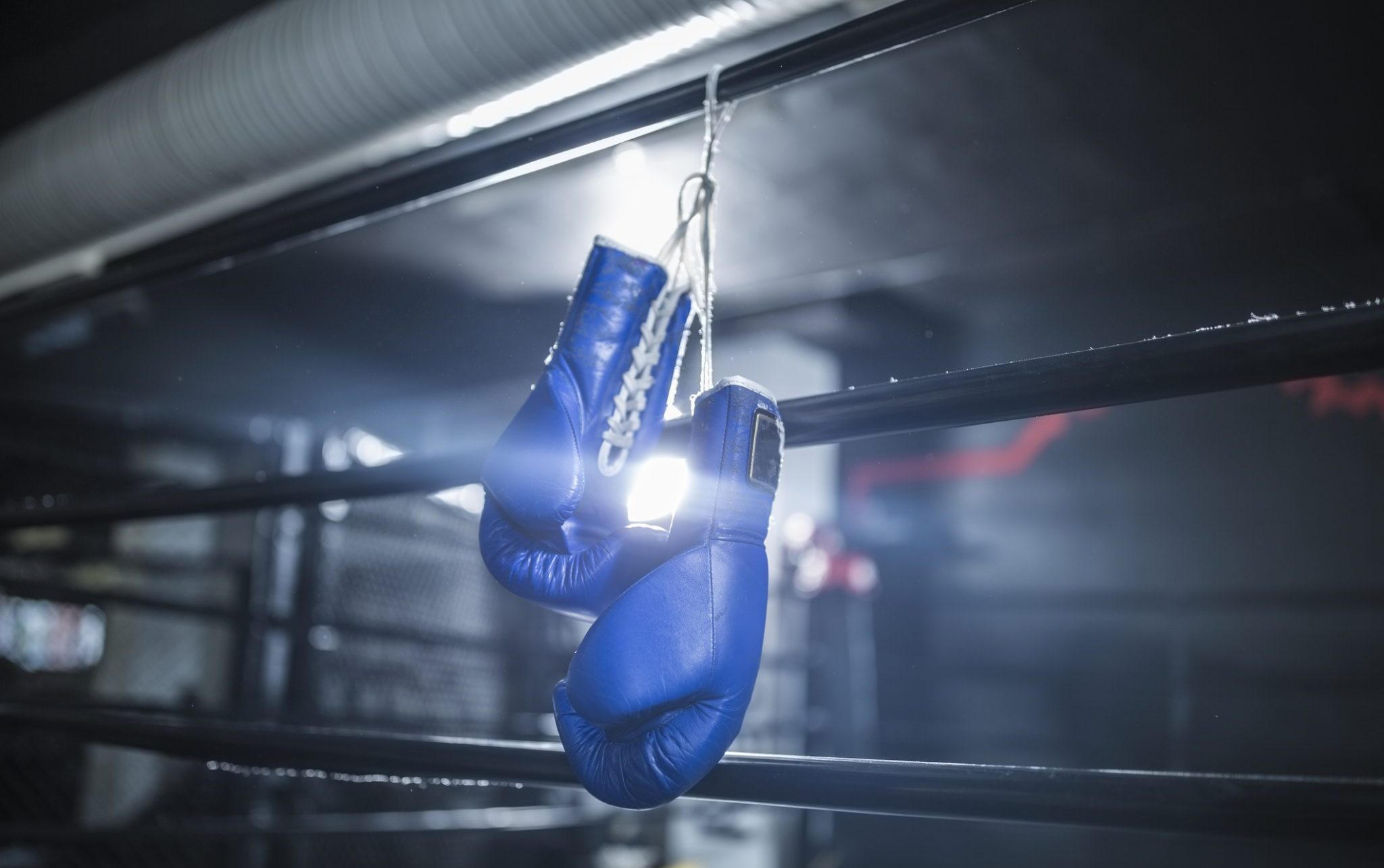 endurance athletes pandemic boxing gloves