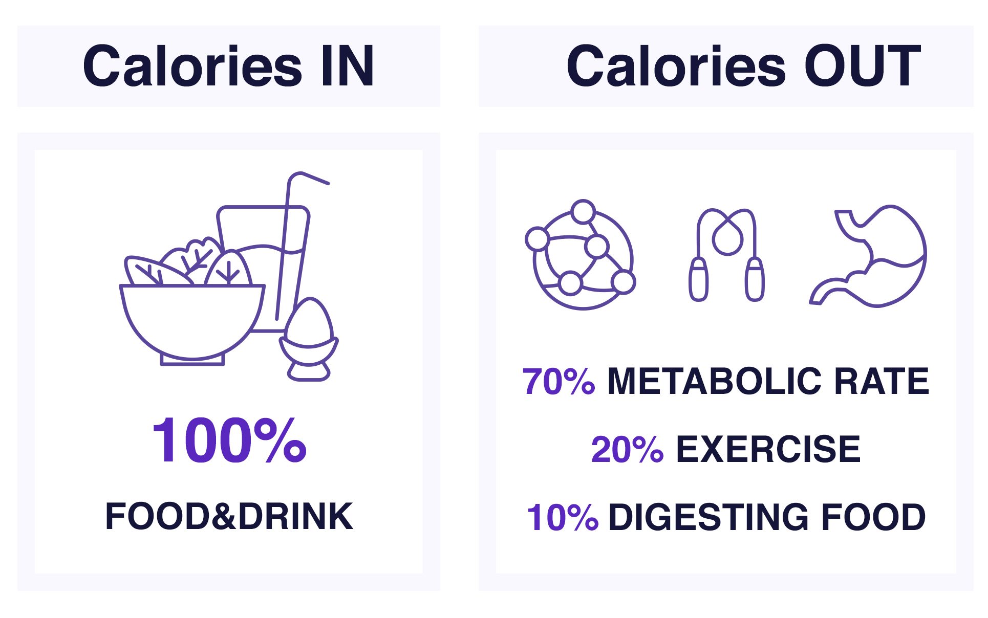 metabolic rate